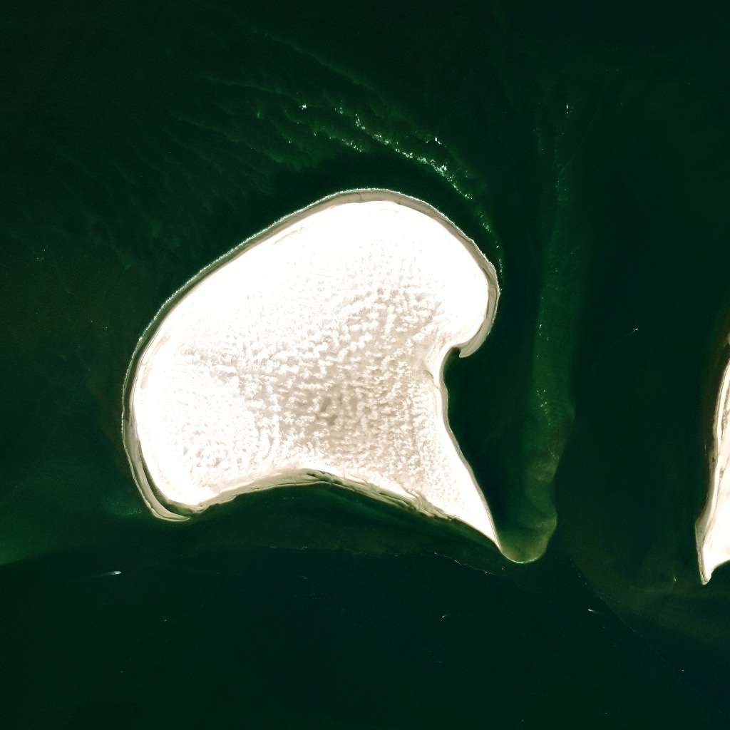 네덜란드 Noorderhaaks 이미지