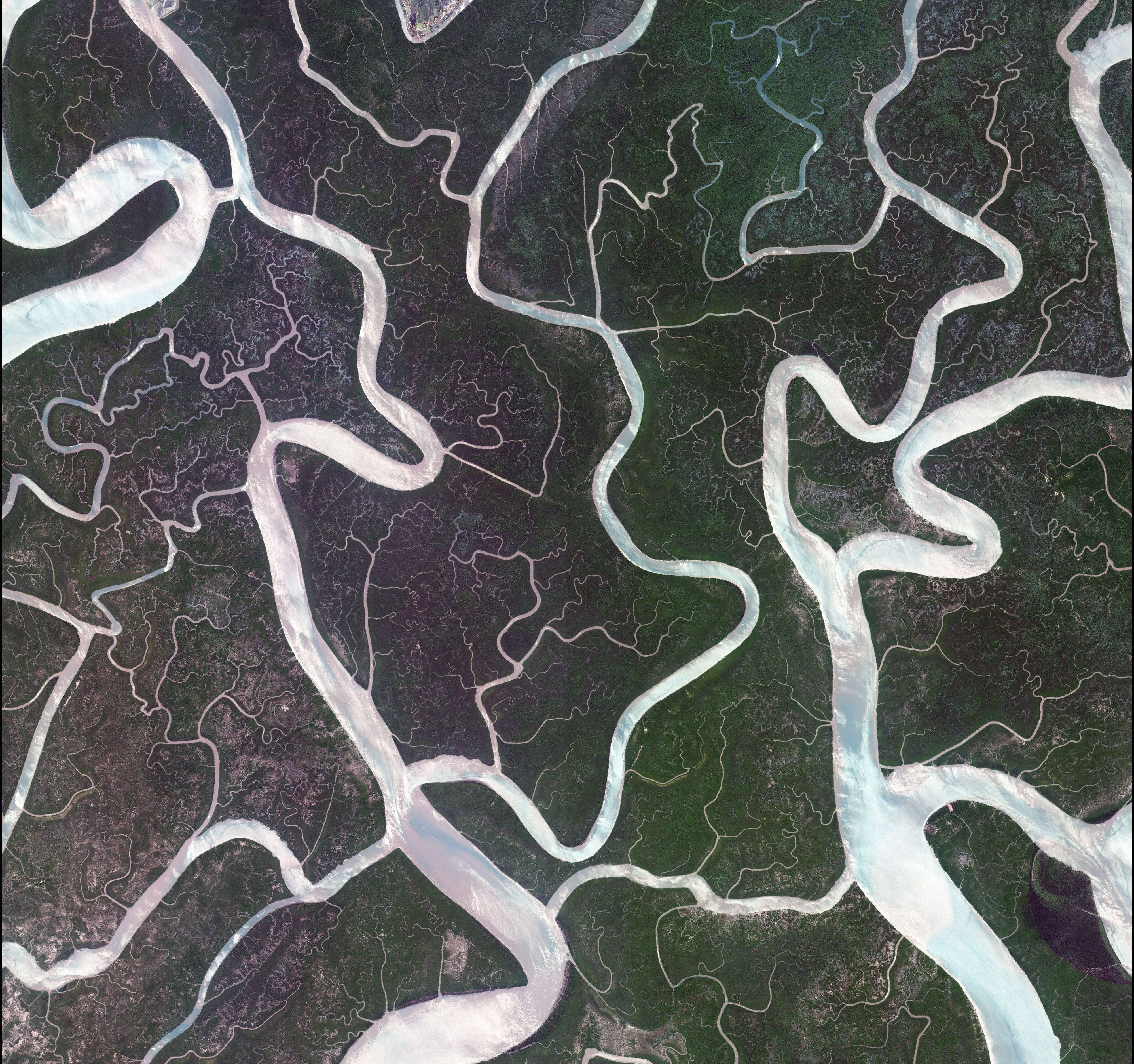 아리랑 3호가 촬영한 방글라데시 수다르반 강 이미지