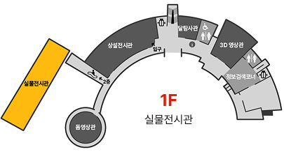 1층 단면도 : 실물전시관 위치 표시 이미지